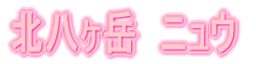 北八ヶ岳　ニュウ
