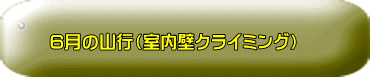 6月の山行（室内壁クライミング）