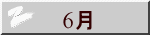 　 6月