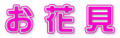 お 花 見