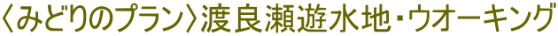〈みどりのプラン〉渡良瀬遊水地・ウオーキング