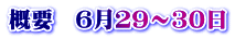 概要　６月２９～３０日