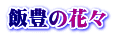 飯豊の花々
