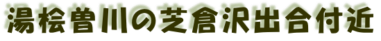 湯桧曽川の芝倉沢出合付近