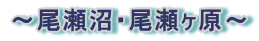 ～尾瀬沼・尾瀬ヶ原～