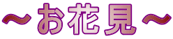 ～お花見～