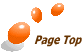 Page Top